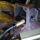 Image for article titled A Simple Electrical Issue Has Stopped My $500 Postal Jeep Project in Its Tracks